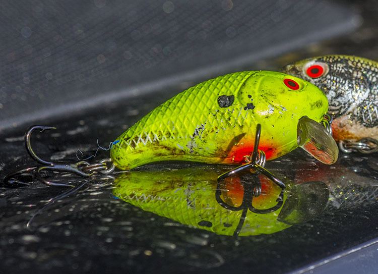 Three Reasons You Will Love Shallow Crankbaits to Catch Redfish