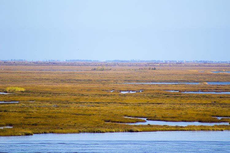 Who Louisiana is the Inshore Fishing Capital of the World