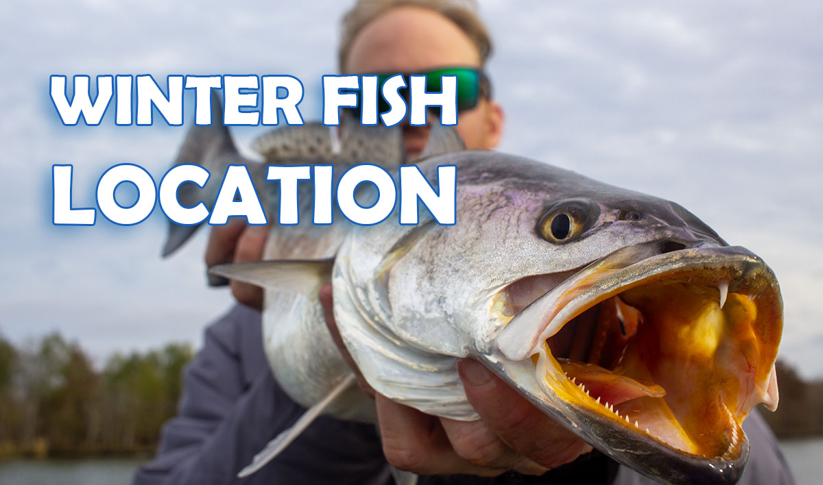 Winter Fish Location Cover Photo