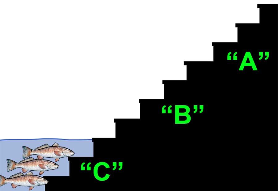 Water Level C