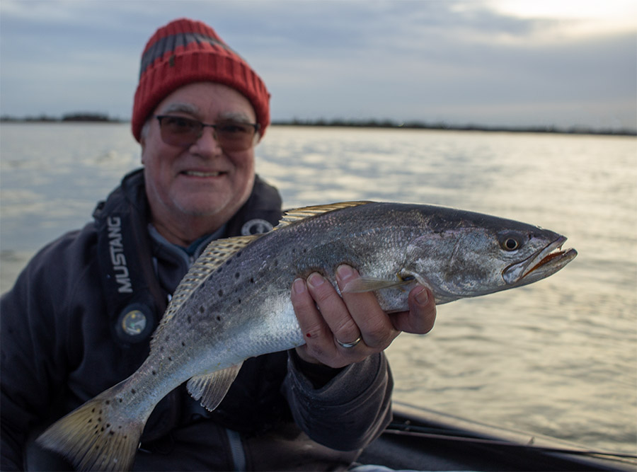 Where Speckled Trout Feed During Winter venice dad cold