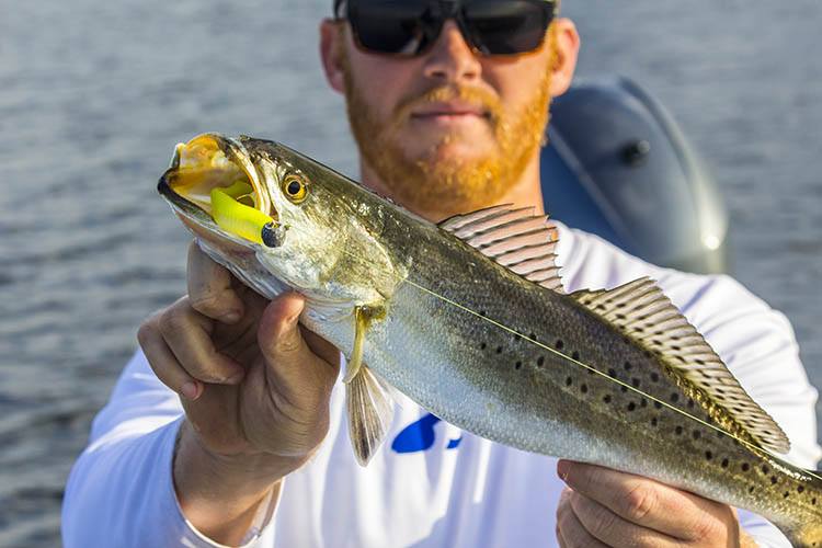 My Favorite Winter Jigging Combo for Speckled Trout