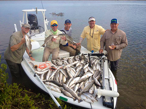 speckled trout yellowfin