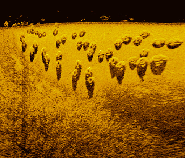 artificial reefs in louisiana reef balls artificial reefs in louisiana reef balls