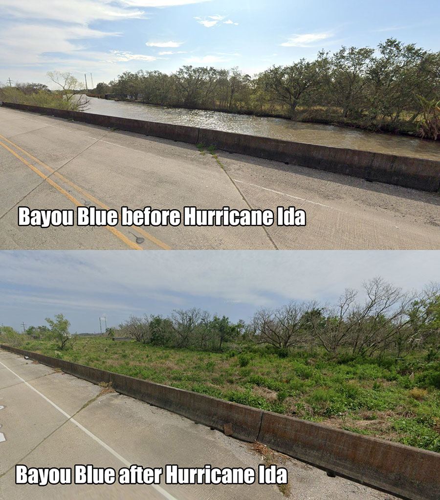 bayou blue hurricane ida marsh wrack bayou blue hurricane ida marsh wrack