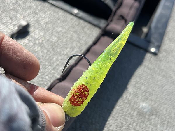 chewed up chartreuse sparkle beetle chewed up chartreuse sparkle beetle
