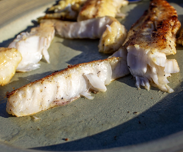 cooked speckled trout fillets cooked speckled trout fillets