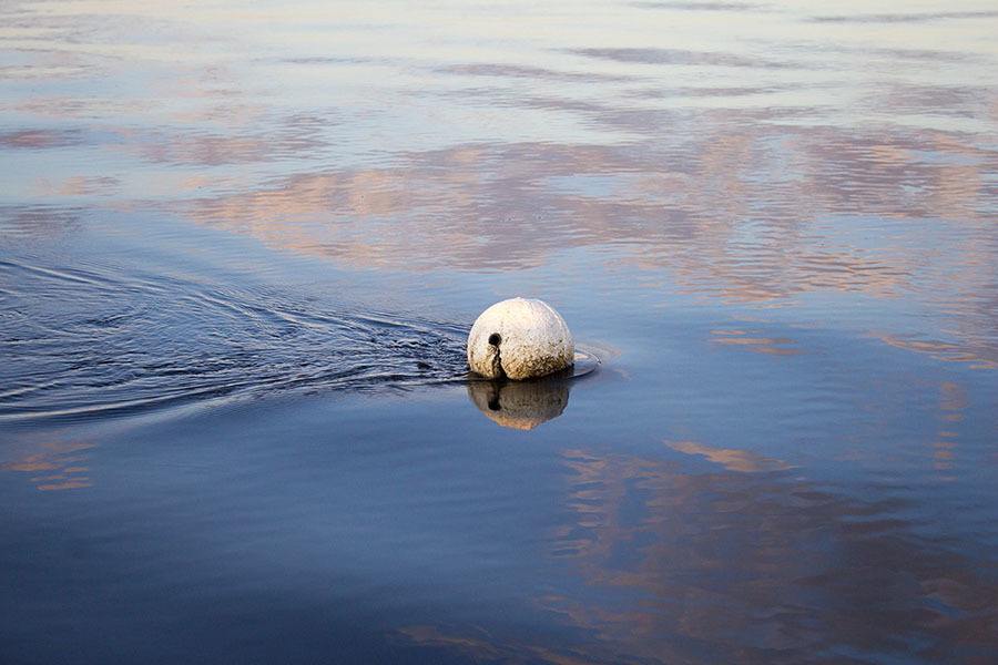 crab trap tide table