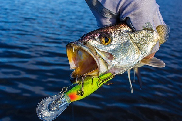 Devin's Ultimate Guide to Jigging Speckled Trout in Louisiana
