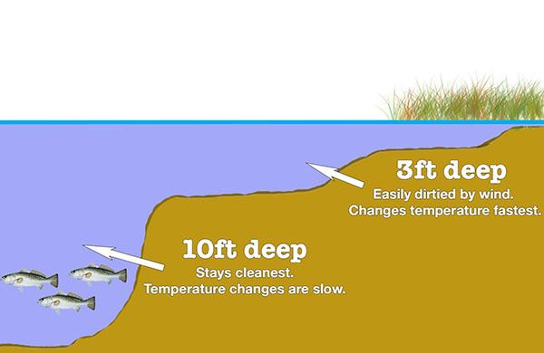 deep vs shallow water speckled trout