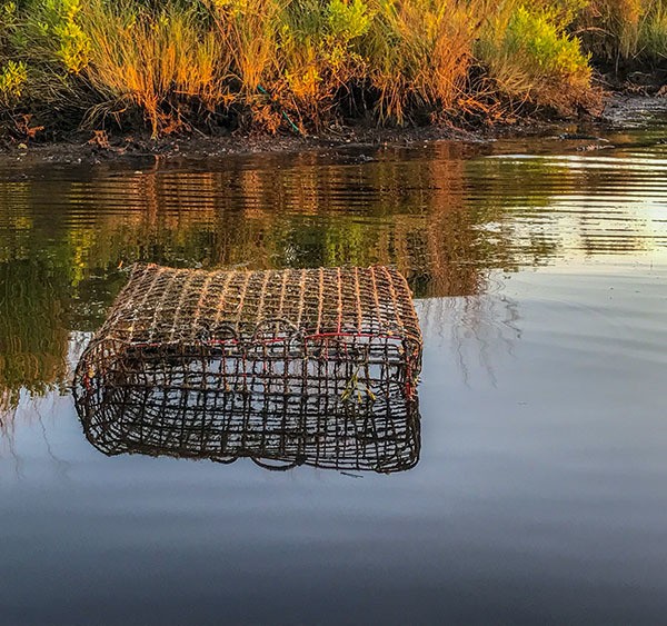 derelict crab trap