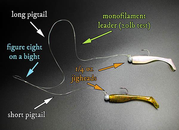 shad rig diagram