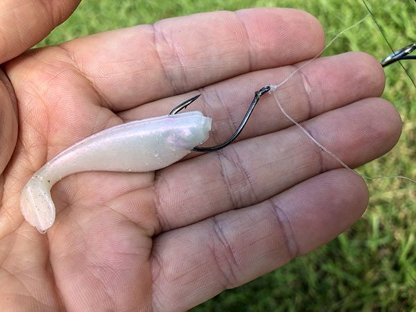 tiny bait for when speckled trout won't bite