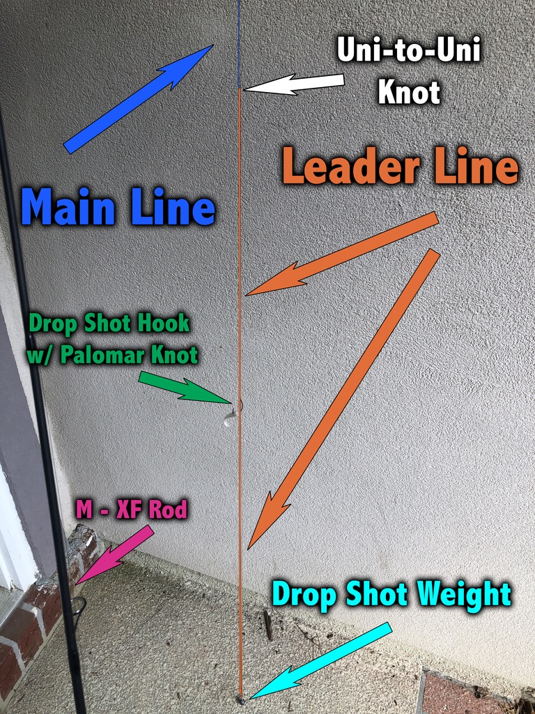 drop shot setup