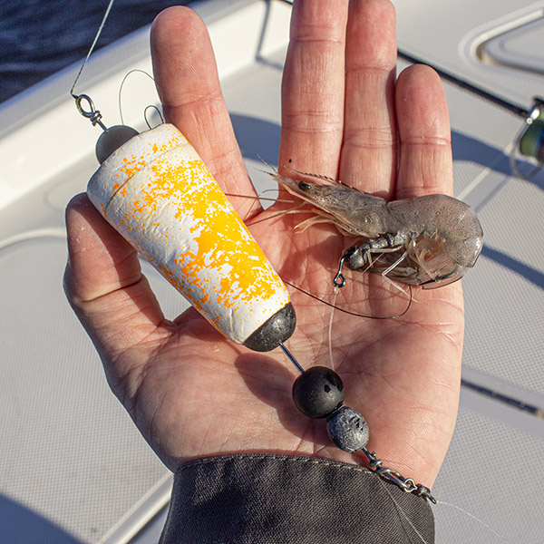 four horsemen cork dead shrimp redfish four horsemen cork dead shrimp easy method to catch redfish
