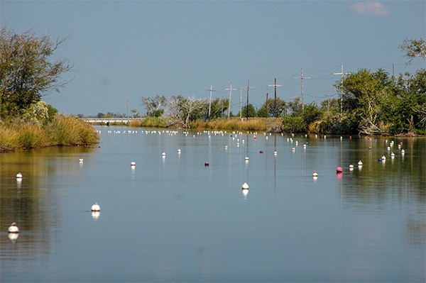 future derelict crab traps