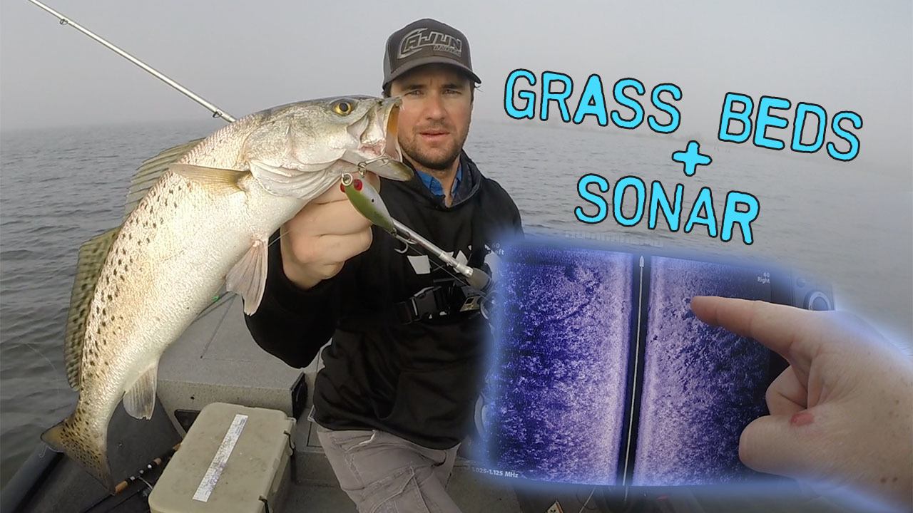 grass beds speckled trout sonar