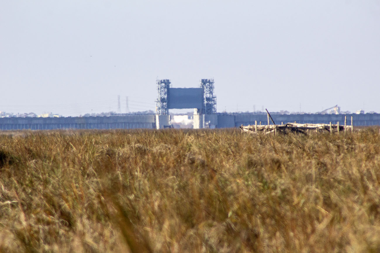 golden triangle marsh chalmette