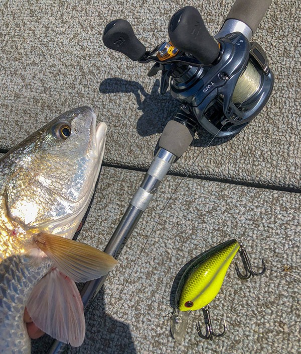 Three Reasons You Will Love Shallow Crankbaits to Catch Redfish