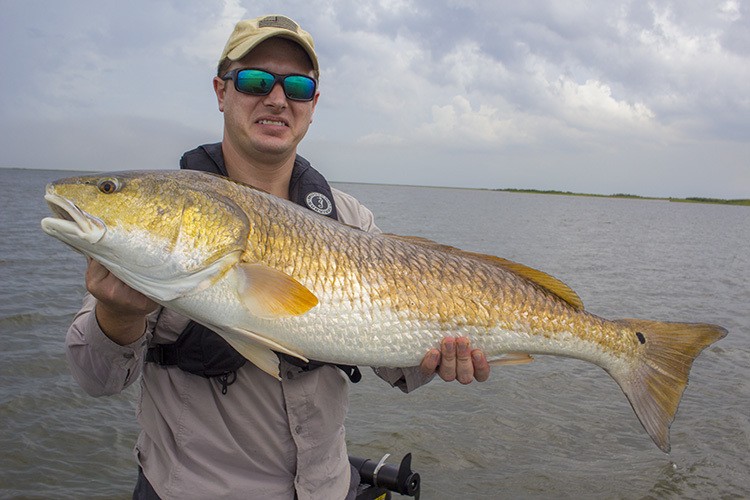 Redfish Fact Sheet (Everything You Need To Know)