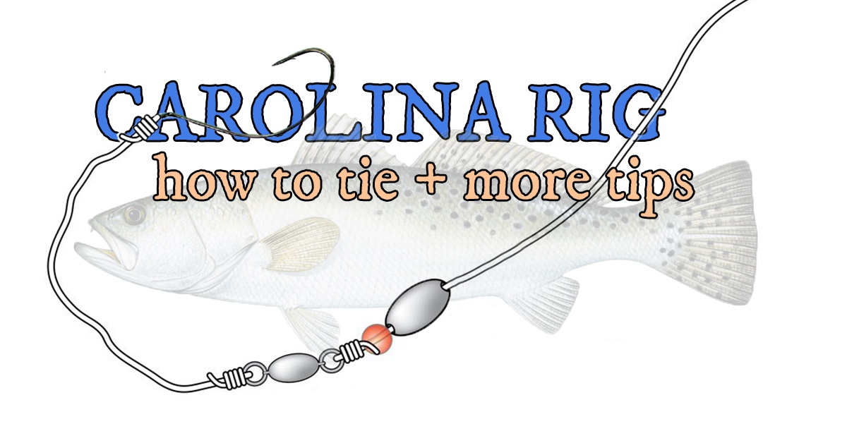 How to Carolina Rig for Surf Fishing [BEGINNER Tutorial Part 1 of 2] 