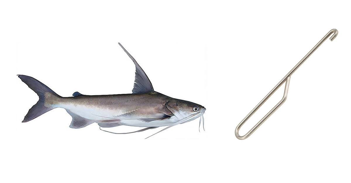 How To Use A Catfish Flipper On Slimy Hardhead Catfish How To Use A Catfish Flipper On Slimy Hardhead Catfish