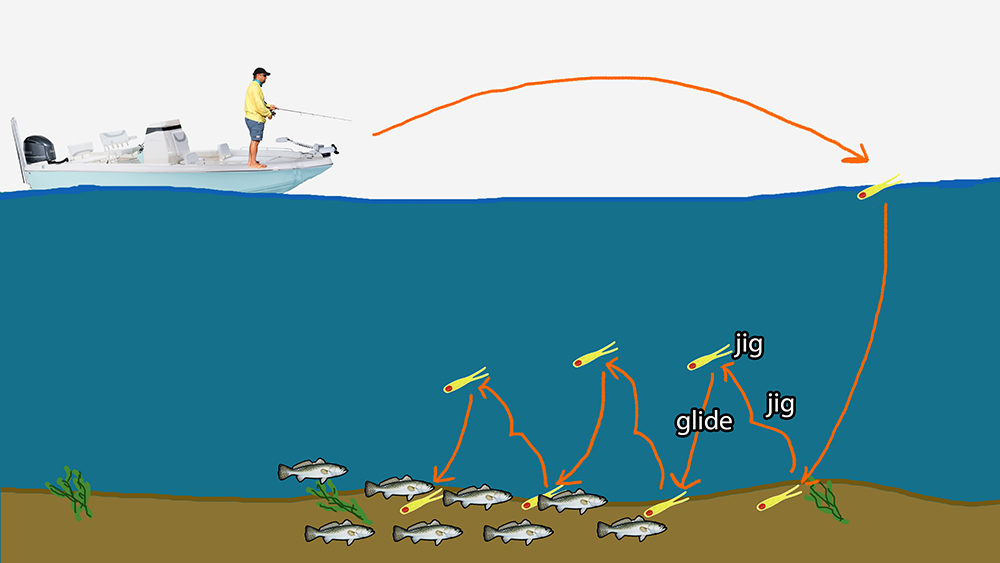 underwater graphic of jigging speckled trout