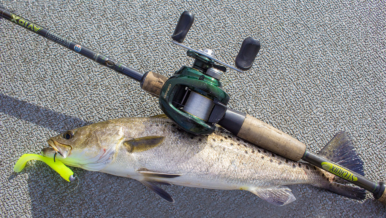 Check out this beautiful looking catch caught on a reef drop. Can you name  this fish?! Comment below to be entered to win a Reef & Reel d