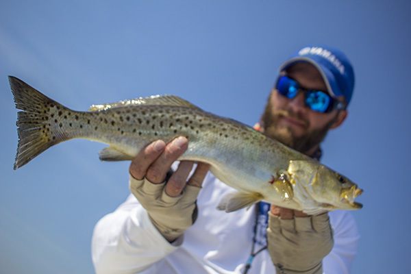john swanson speckled trout