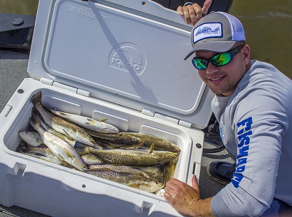 limit of trout in cooler