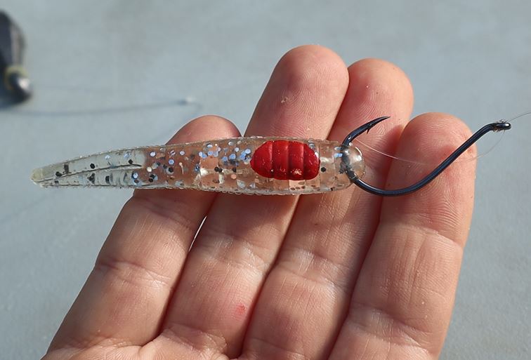 The Best Rig For Deep Speckled Trout: The Heavy Drop Shot