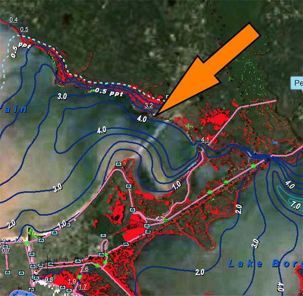 best salinity for speckled trout