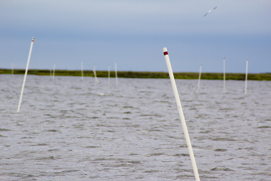 How to locate and fish oyster beds for speckled trout in Louisiana