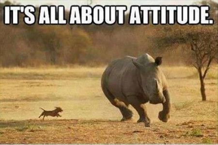 positive attitude positive attitude