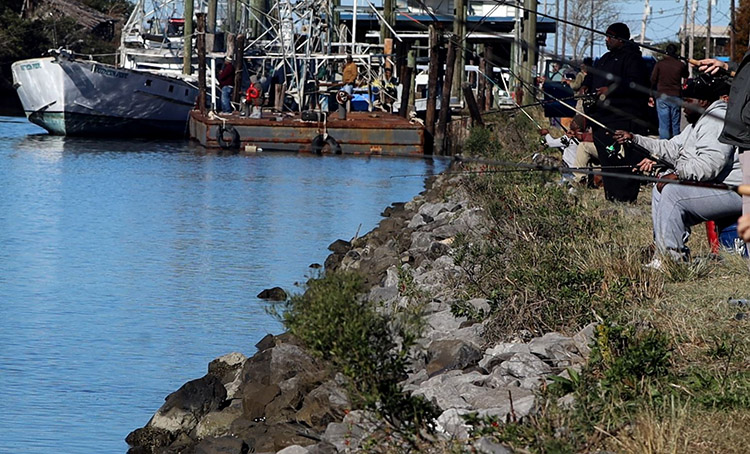 redfish jubilee bank fishing hopedale 750