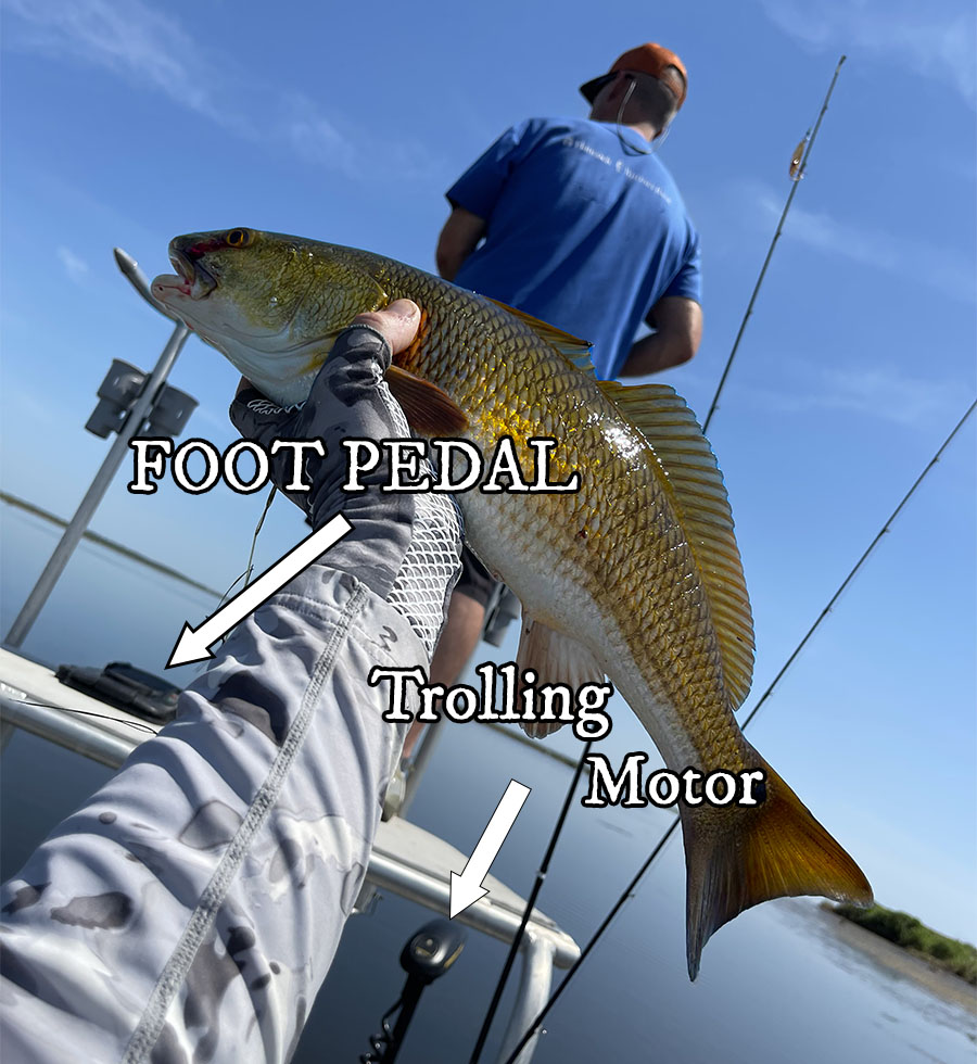redfish stand trolling motor foot pedal
