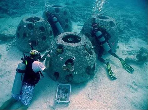 artificial reefs in louisiana reef balls artificial reefs in louisiana with divers for comparison