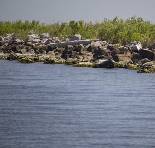 demersal finfish location during speckled trout spring pattern