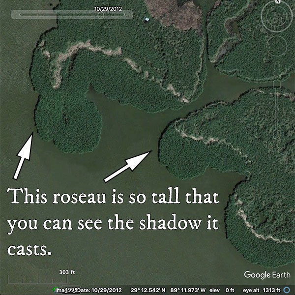 locate roseau cane on google earth to avoid strong wind 