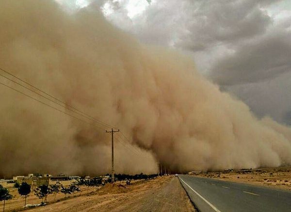 sandstorm for speckled trout