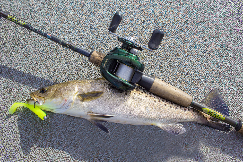 shimano curado 50e st croix avid x jigging speckled trout