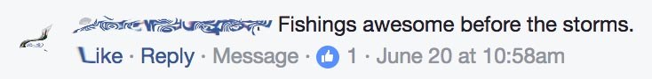 storm comment