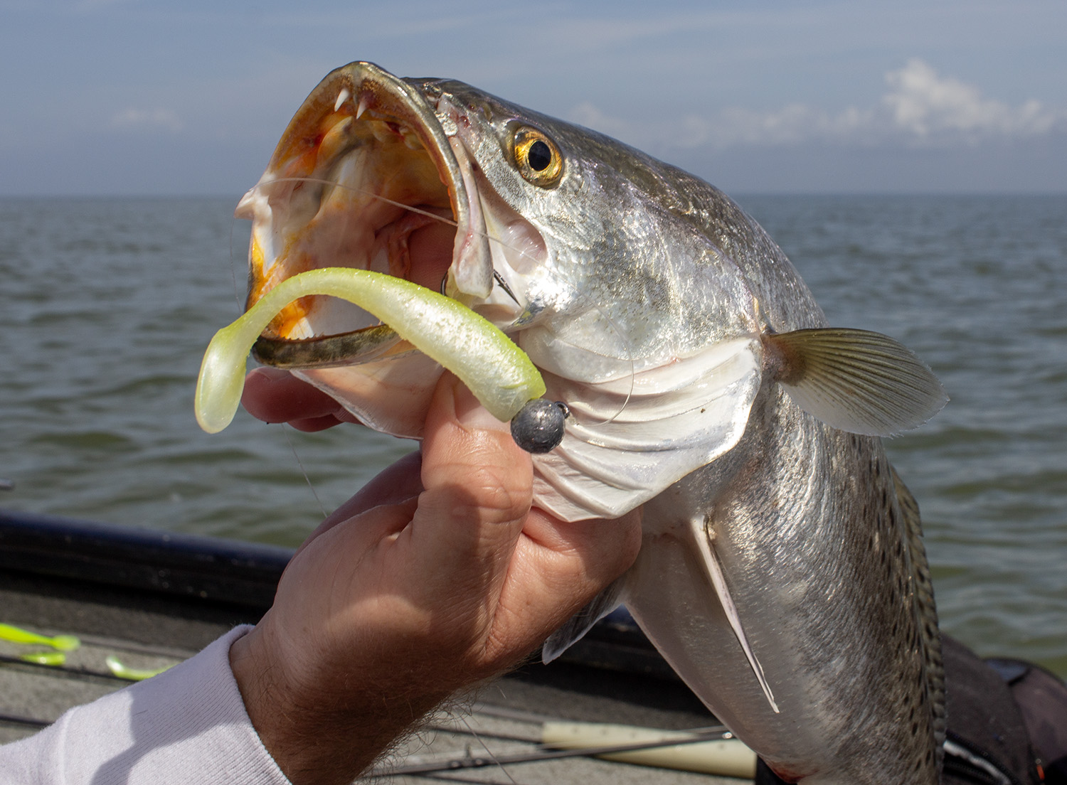 summer fishing spot speckled trout matrix shad yellow mouth