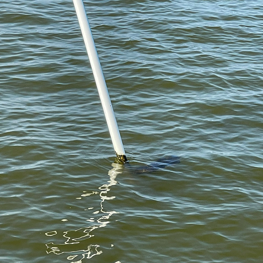 tripletail biloxi marsh oyster pole pvc