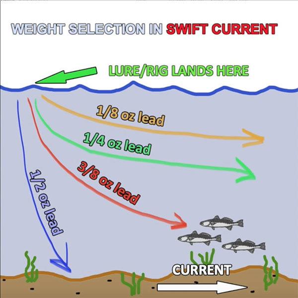 Drop Shot Hook Size Chart